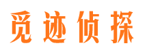 盐池市场调查